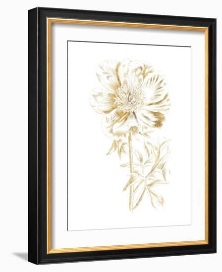 Gilded Botanical VIII-Wild Apple Portfolio-Framed Art Print