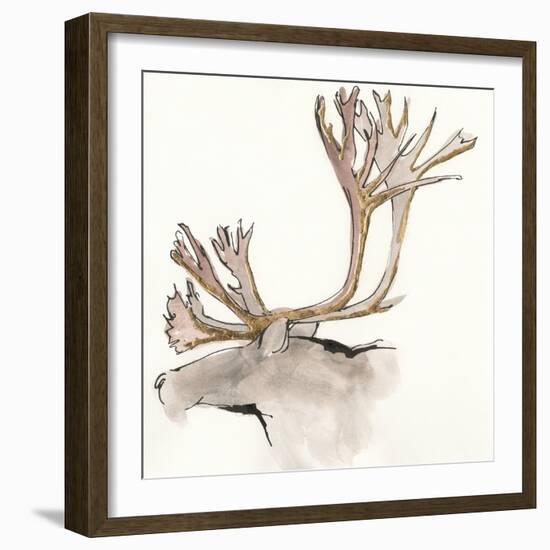 Gilded Caribou-Chris Paschke-Framed Art Print