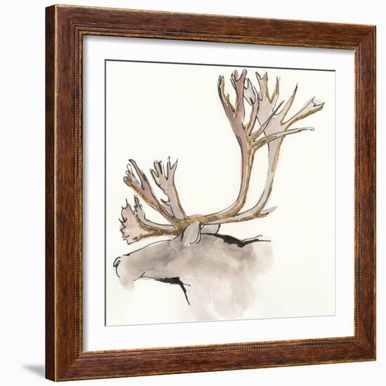 Gilded Caribou-Chris Paschke-Framed Art Print