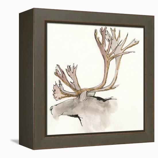 Gilded Caribou-Chris Paschke-Framed Stretched Canvas