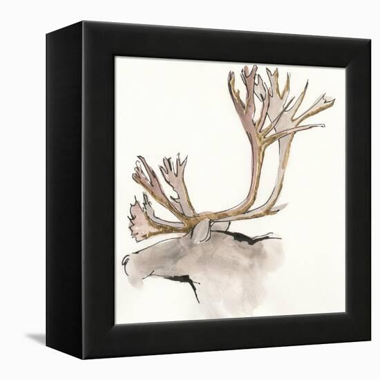 Gilded Caribou-Chris Paschke-Framed Stretched Canvas