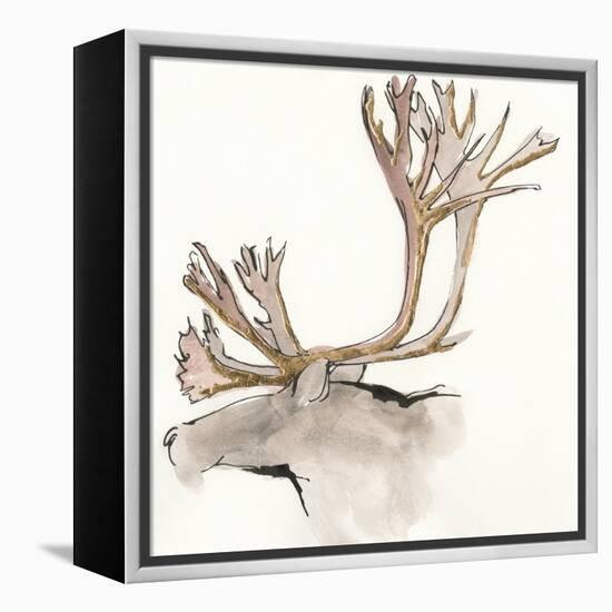 Gilded Caribou-Chris Paschke-Framed Stretched Canvas