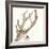 Gilded Deer-Chris Paschke-Framed Art Print