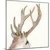 Gilded Deer-Chris Paschke-Mounted Art Print