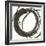 Gilded Enso I-Chris Paschke-Framed Art Print