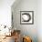 Gilded Enso II-Chris Paschke-Framed Art Print displayed on a wall