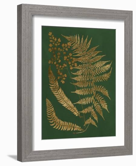Gilded Ferns I-Vision Studio-Framed Art Print