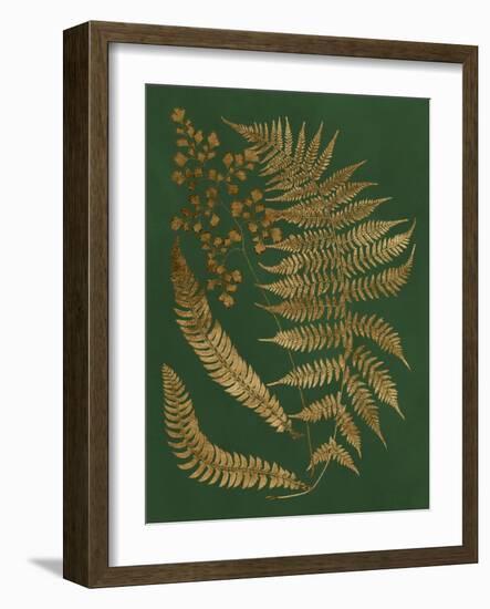 Gilded Ferns I-Vision Studio-Framed Art Print