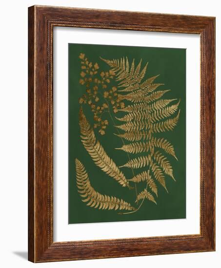 Gilded Ferns I-Vision Studio-Framed Art Print