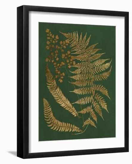 Gilded Ferns I-Vision Studio-Framed Art Print