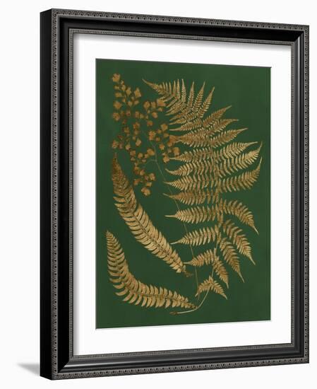 Gilded Ferns I-Vision Studio-Framed Art Print