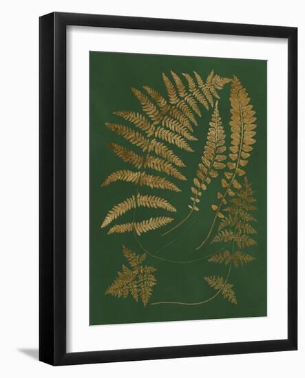 Gilded Ferns III-Vision Studio-Framed Art Print