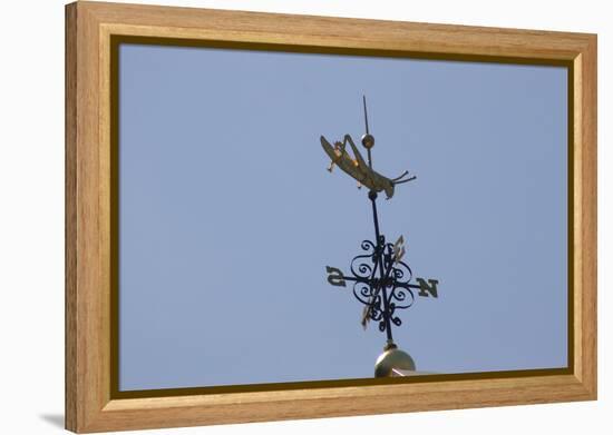 Gilded Grasshopper Weathervane on Faneuil Hall-null-Framed Stretched Canvas