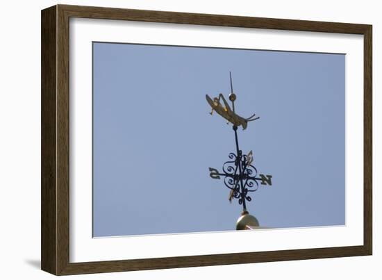 Gilded Grasshopper Weathervane on Faneuil Hall-null-Framed Photo