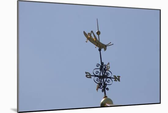 Gilded Grasshopper Weathervane on Faneuil Hall-null-Mounted Photo