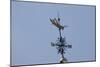 Gilded Grasshopper Weathervane on Faneuil Hall-null-Mounted Photo