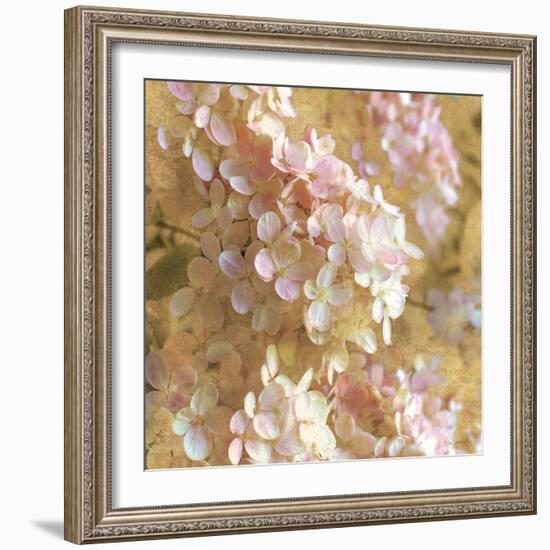 Gilded Hydrangea I-Sue Schlabach-Framed Art Print