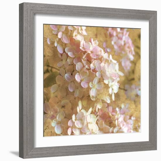 Gilded Hydrangea I-Sue Schlabach-Framed Art Print