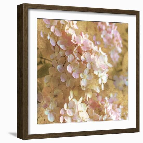 Gilded Hydrangea I-Sue Schlabach-Framed Art Print