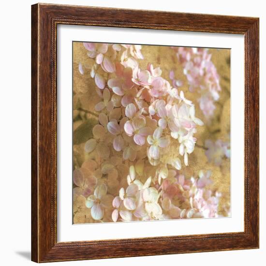 Gilded Hydrangea I-Sue Schlabach-Framed Art Print