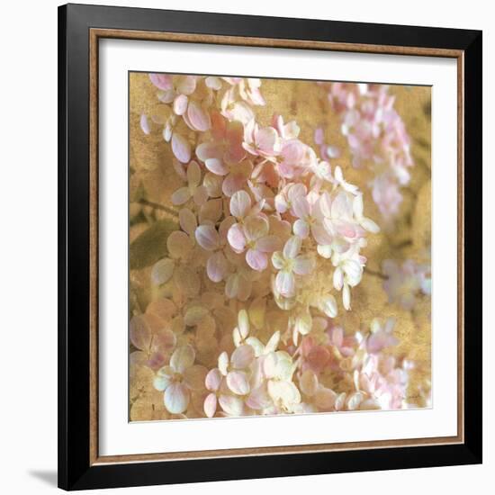 Gilded Hydrangea I-Sue Schlabach-Framed Art Print