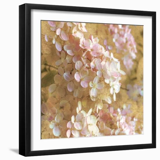 Gilded Hydrangea I-Sue Schlabach-Framed Art Print