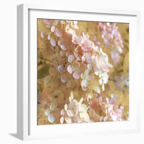 Gilded Hydrangea I-Sue Schlabach-Framed Art Print