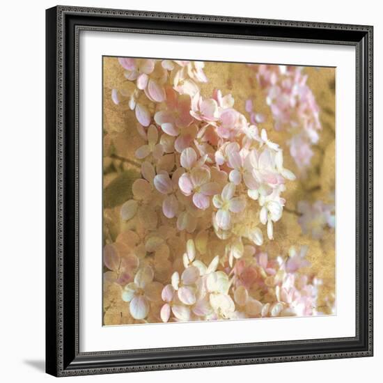 Gilded Hydrangea I-Sue Schlabach-Framed Art Print