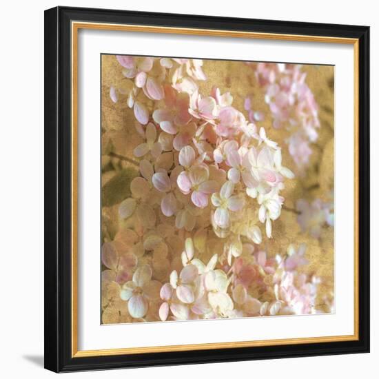 Gilded Hydrangea I-Sue Schlabach-Framed Art Print