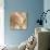 Gilded Hydrangea I-Sue Schlabach-Art Print displayed on a wall