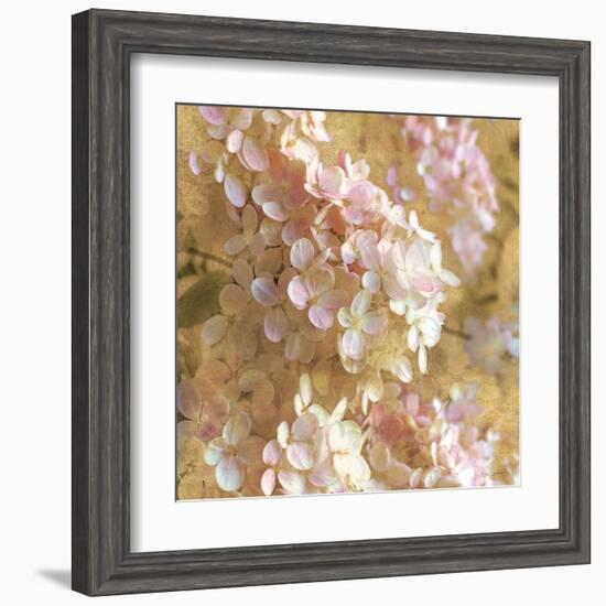 Gilded Hydrangea I-Sue Schlabach-Framed Art Print