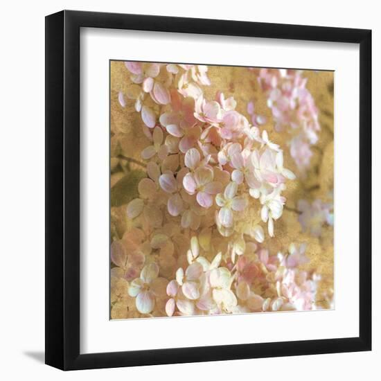 Gilded Hydrangea I-Sue Schlabach-Framed Art Print