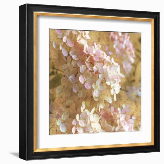 Gilded Hydrangea I-Sue Schlabach-Framed Art Print