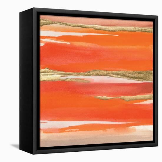 Gilded Mandarin I-Chris Paschke-Framed Stretched Canvas