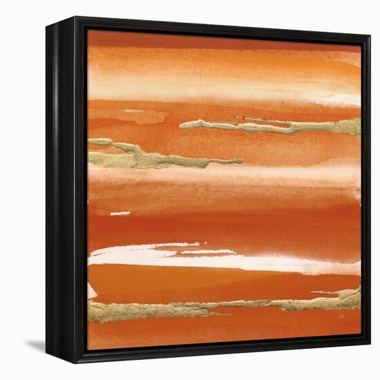 Gilded Mandarin III Burnt Orange-Chris Paschke-Framed Stretched Canvas