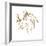 Gilded Mare On White-Chris Paschke-Framed Art Print