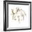 Gilded Mare On White-Chris Paschke-Framed Art Print