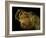 Gilded Mummy with Greek Spiral Curls and Traditional Egyptian Motifs, Bahariya Oasis, Egypt-Kenneth Garrett-Framed Photographic Print