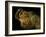 Gilded Mummy with Greek Spiral Curls and Traditional Egyptian Motifs, Bahariya Oasis, Egypt-Kenneth Garrett-Framed Photographic Print