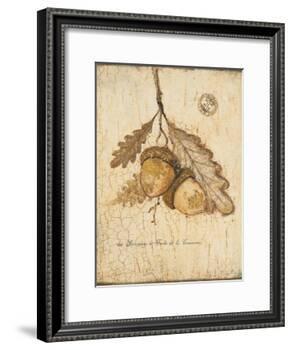 Gilded Oak-Arnie Fisk-Framed Art Print