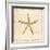 Gilded Ocean Starfish-Studio 5-Framed Art Print