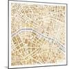 Gilded Paris Map-Laura Marshall-Mounted Art Print