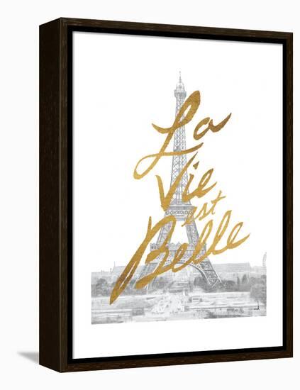 Gilded Paris-Moira Hershey-Framed Stretched Canvas