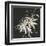 Gilded Poinsettias-Chris Paschke-Framed Art Print