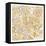 Gilded Rome Map-Laura Marshall-Framed Stretched Canvas