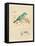 Gilded Songbird 1-Chad Barrett-Framed Stretched Canvas