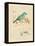 Gilded Songbird 1-Chad Barrett-Framed Stretched Canvas