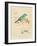 Gilded Songbird 1-Chad Barrett-Framed Art Print