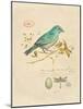 Gilded Songbird 1-Chad Barrett-Mounted Art Print