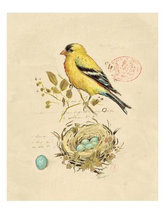 songbird reviews 2016 songbird reviews 2016